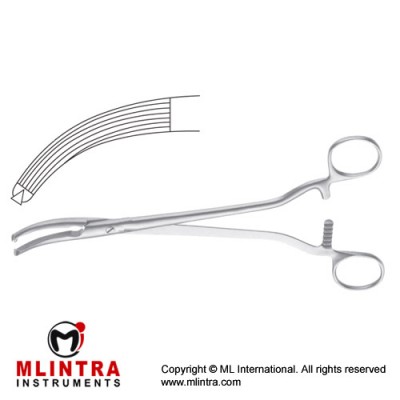 Mikulicz Peritoneum Forcep Curved - Longitudinal Serrations - 1 x 2 Teeth Stainless Steel, 24.5 cm - 9 3/4"